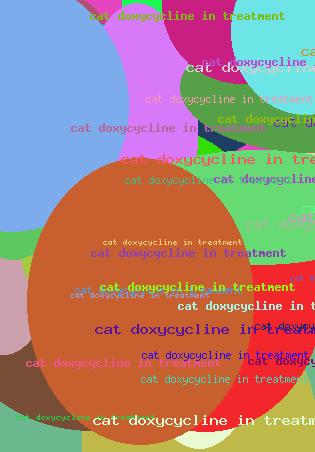 CAT DOXYCYCLINE IN TREATMENT